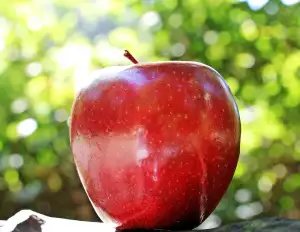 Apple Počítač